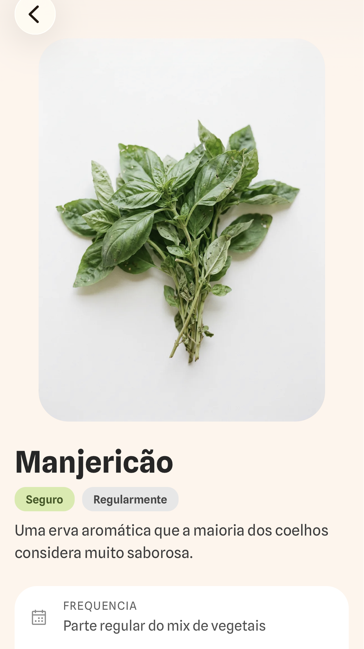 Tela de detalhe de alimento no app Binkyness