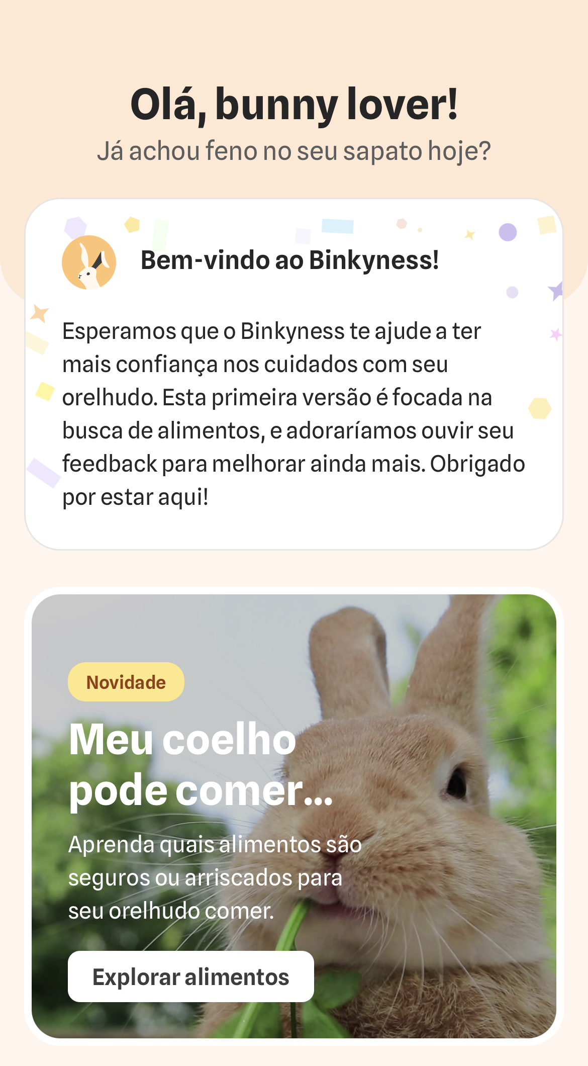 Tela inicial do app Binkyness